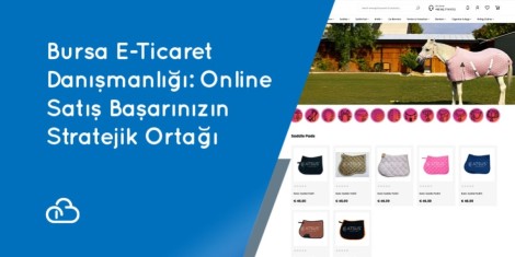 Bursa E-Ticaret Danışmanlığı: Online Satış Başarınızın Stratejik Ortağı