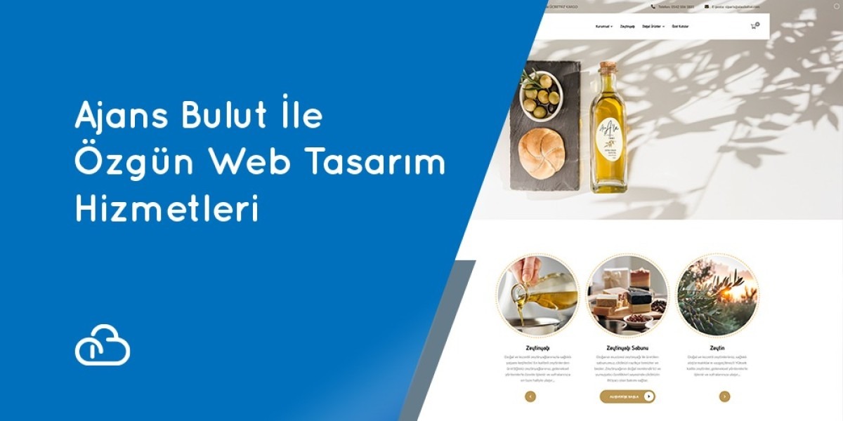Agency Bulut and Original Web Design Services