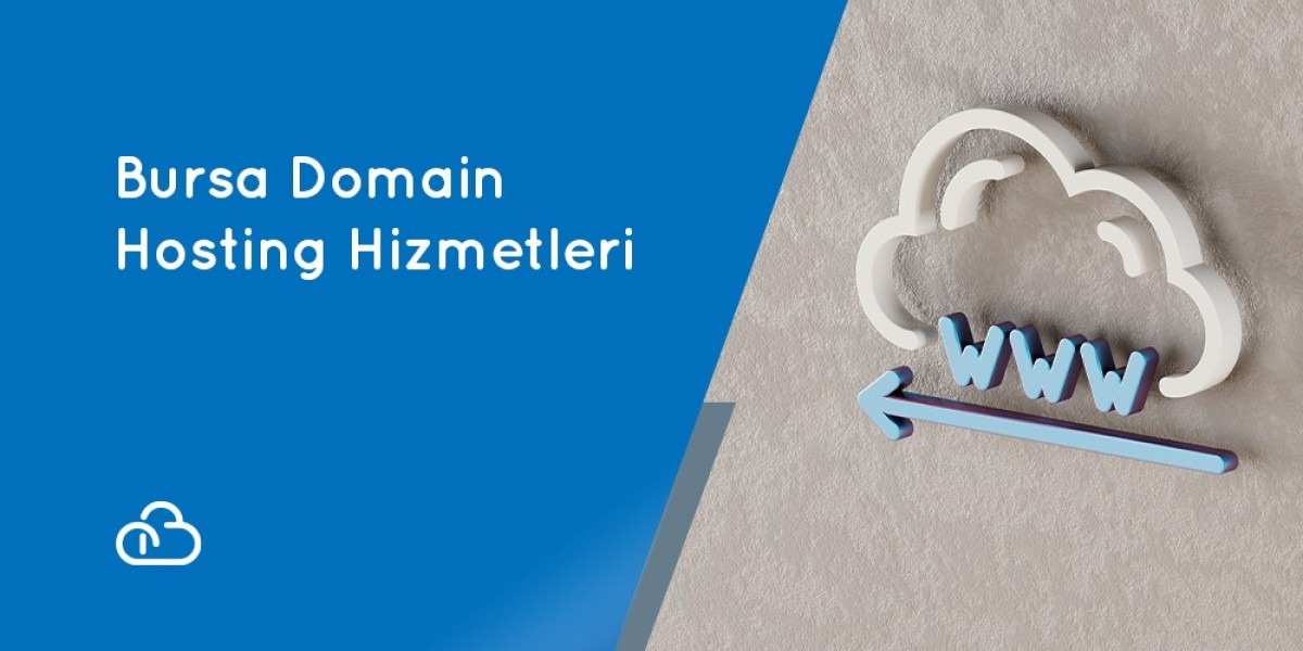 Bursa Domain and Hosting Services: Reliable Solutions at Agency Bulut!