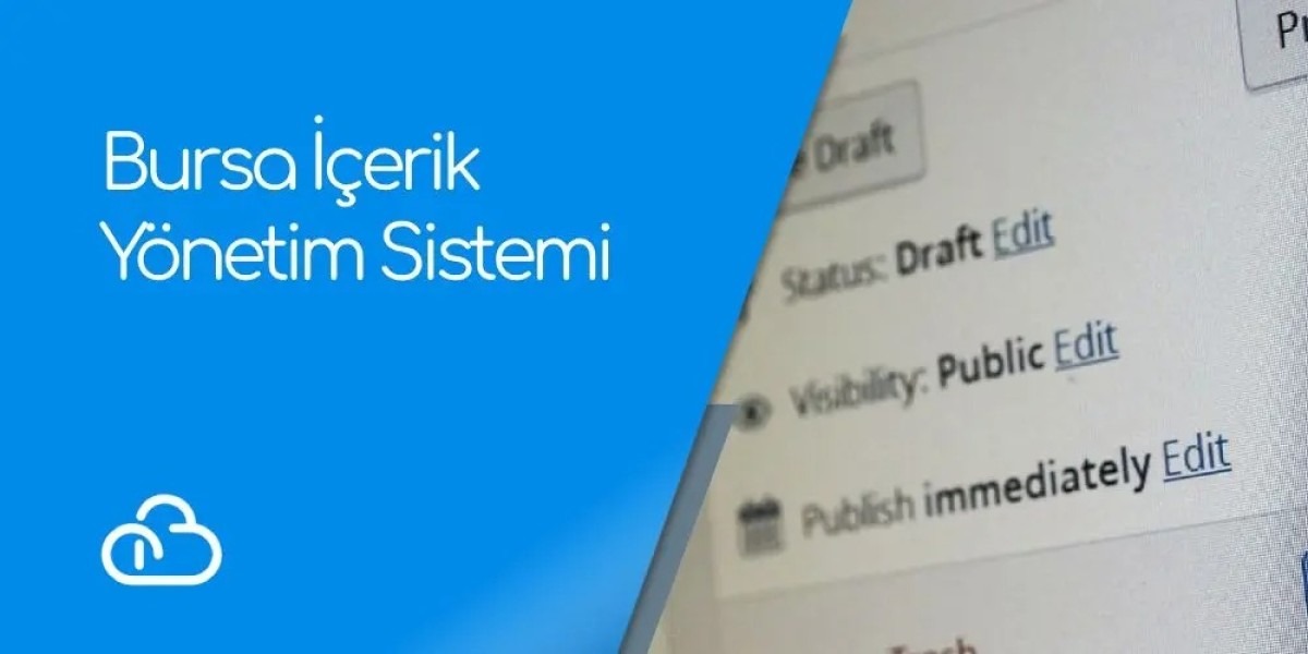Bursa Content Management System, CMS Basic Features