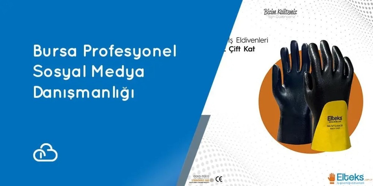 Bursa Professional Social Media Consulting