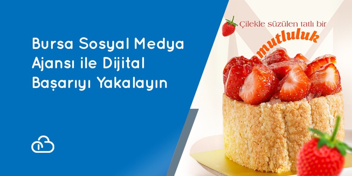Achieve Digital Success with Bursa Social Media Agency.