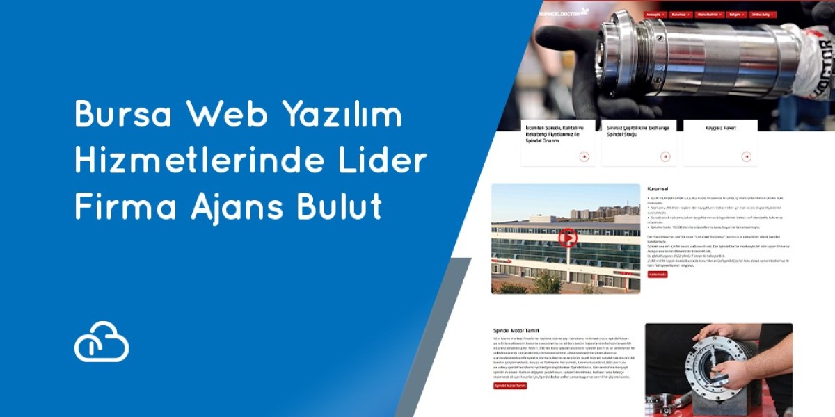 Bursa Web Yazılım Hizmetlerinde Lider Firma Ajans Bulut