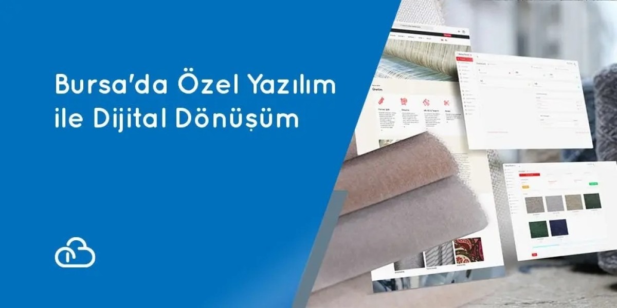 Digital Transformation with Custom Software in Bursa