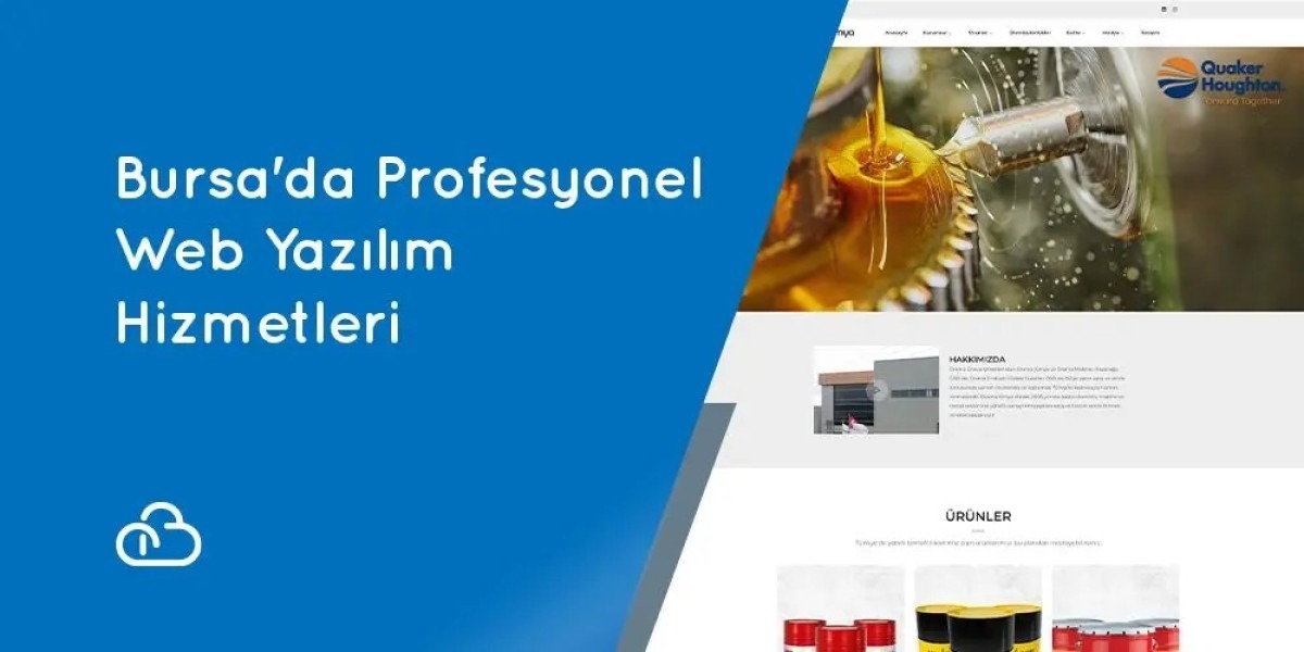 Professional Web Development Services in Bursa at Agency Bulut.