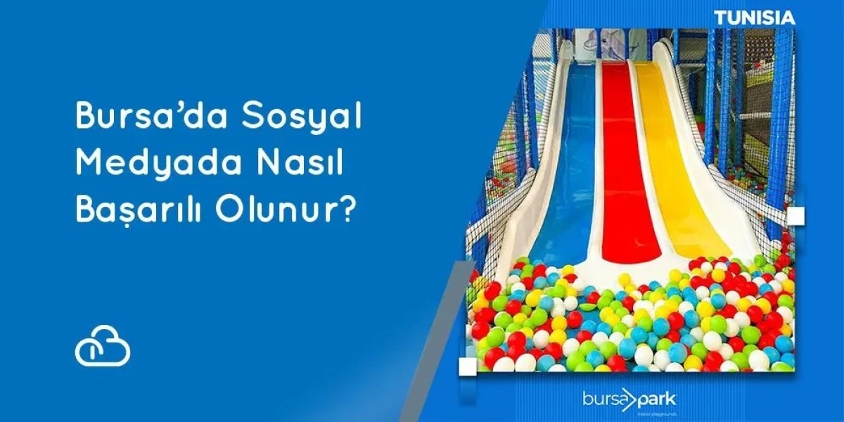 How to Succeed on Social Media in Bursa?