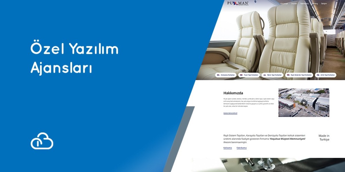 Özel Yazılım Ajansları