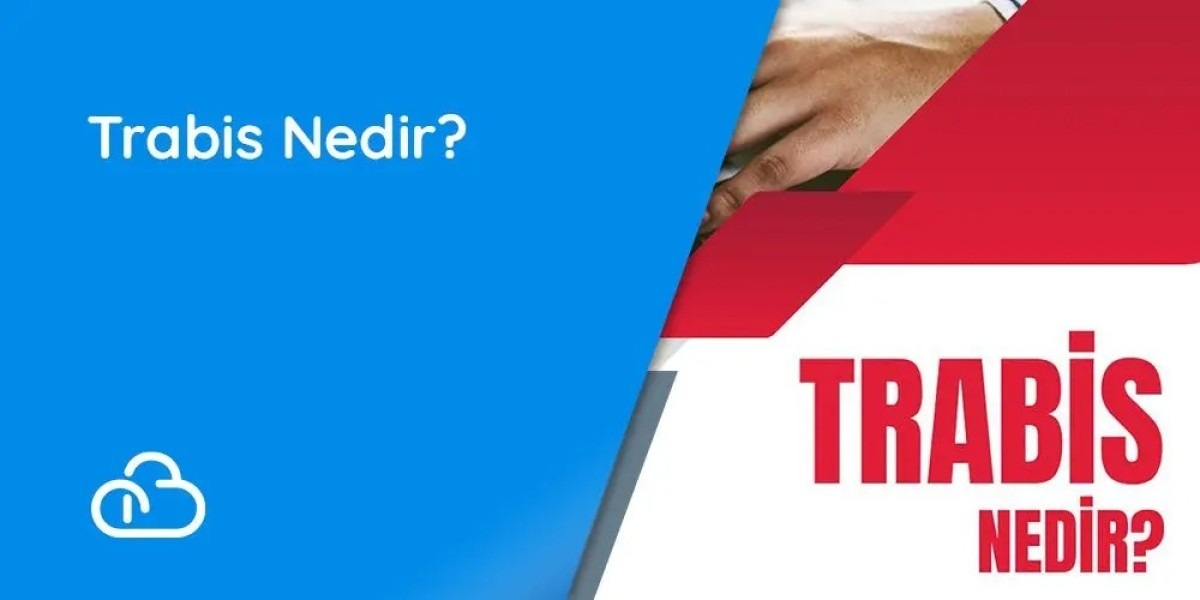 What is TRABIS?, .TR Domain Name System