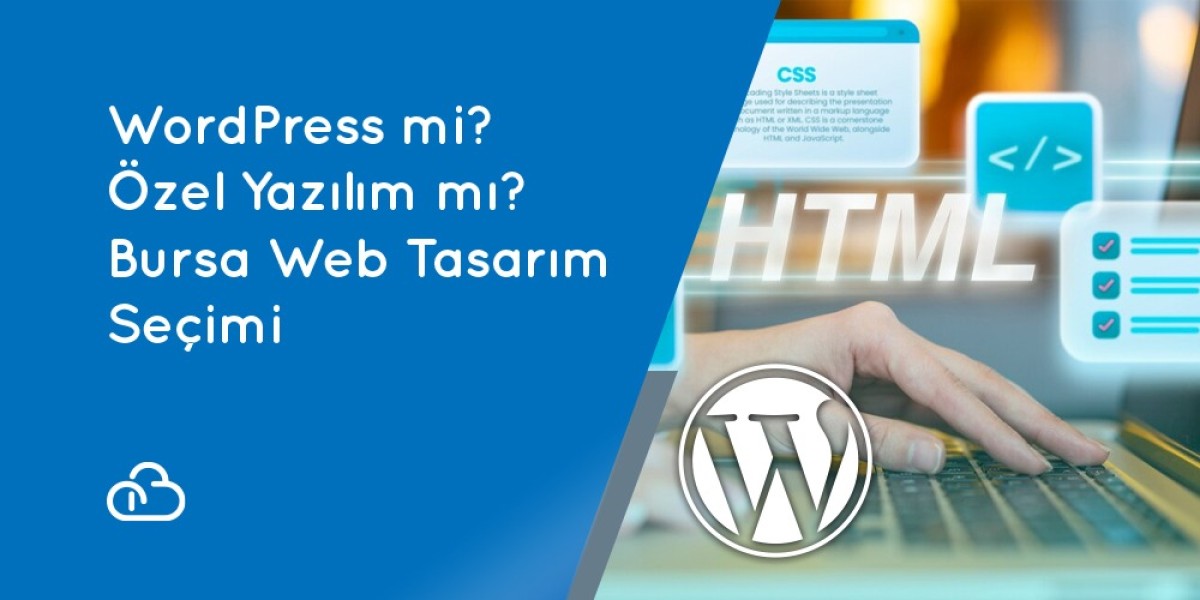 WordPress or Custom Software? Choosing Bursa Web Design