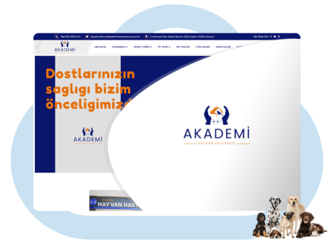 Akademi Hayvan Hastanesi